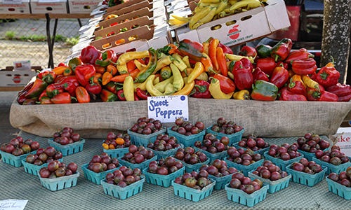 Farmer’s Market Cover Image