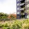 Landscaped terrace with a view