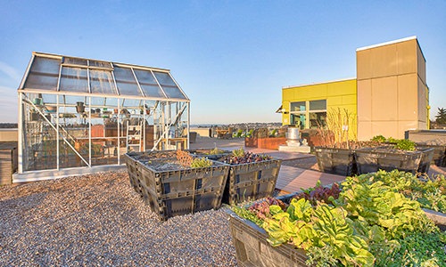 Unusually Amazing Rooftop Garden Cover Image